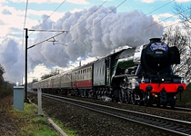 60103 Arksey 250216 A Cromarty