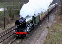 60103 Bishops Wood 250216 J Kirk