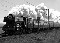 60103 Frinkley Lane 250216 I Wright