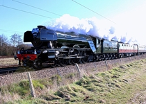 60103 Werrington Jn 250216 A Wright