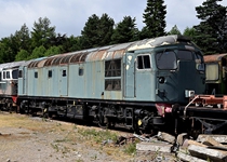 26025 Boat of Garten 220718 A Harris