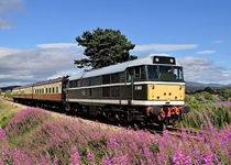 31327 Fishermens Crossing 220718 A Harris