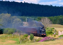 828 Fishermens Crossing 220718 A Harris (1)