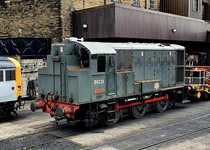 D0226 KWVR 190821 D White