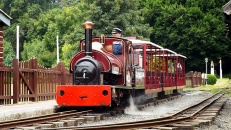 130720 - Bressingham Steam Museum 20/07/13