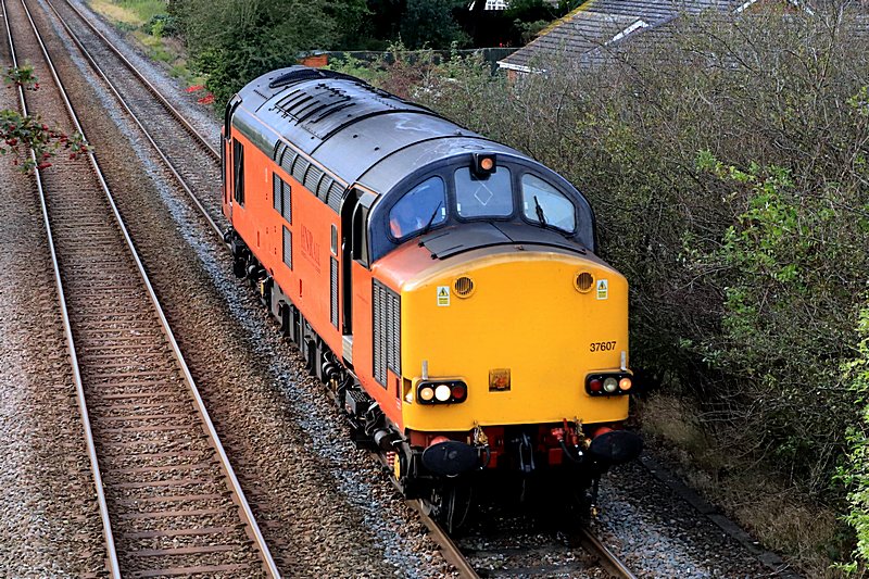 [wnxx] Pictures - 37607 0Z50 191023