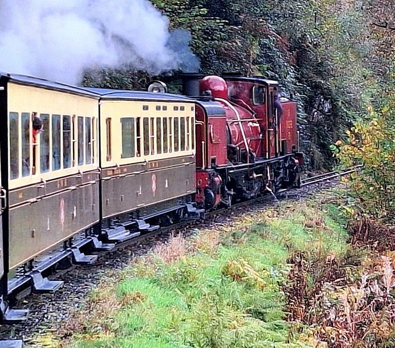 [wnxx] Pictures - Vale of Rheidol Railway 251025